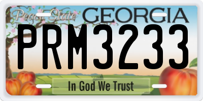 GA license plate PRM3233