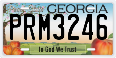 GA license plate PRM3246