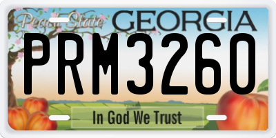 GA license plate PRM3260