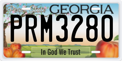 GA license plate PRM3280