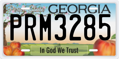 GA license plate PRM3285
