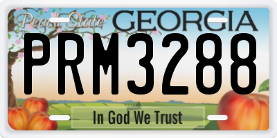 GA license plate PRM3288