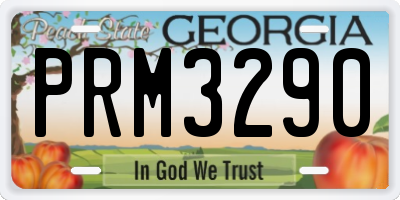 GA license plate PRM3290