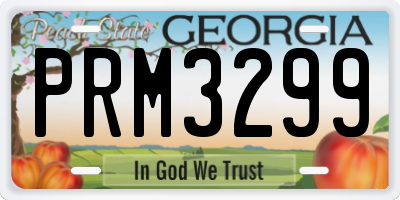 GA license plate PRM3299