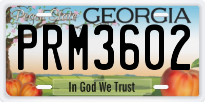 GA license plate PRM3602