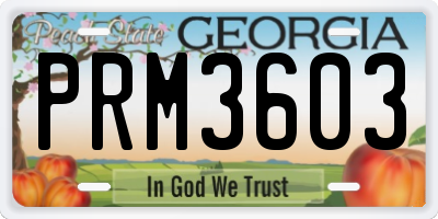 GA license plate PRM3603