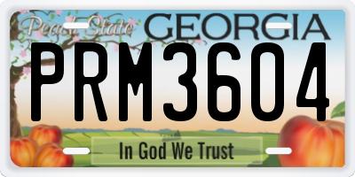 GA license plate PRM3604