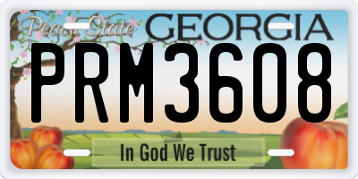 GA license plate PRM3608