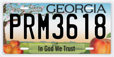 GA license plate PRM3618