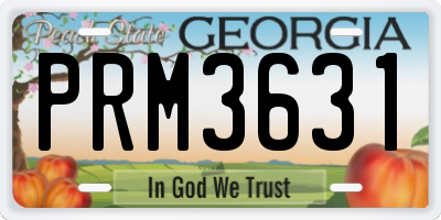 GA license plate PRM3631