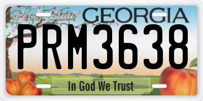 GA license plate PRM3638