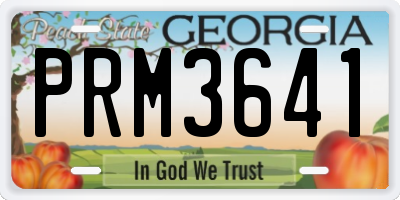 GA license plate PRM3641