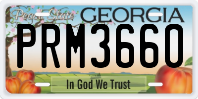 GA license plate PRM3660
