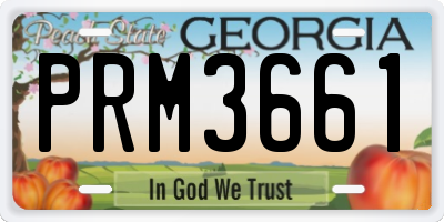 GA license plate PRM3661