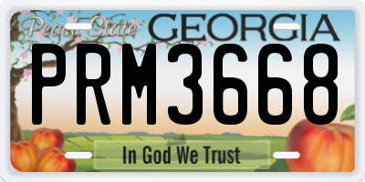GA license plate PRM3668