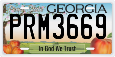 GA license plate PRM3669