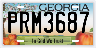 GA license plate PRM3687