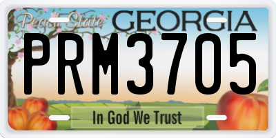 GA license plate PRM3705
