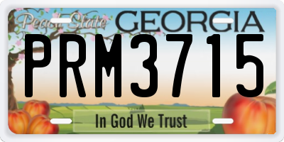 GA license plate PRM3715
