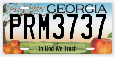GA license plate PRM3737