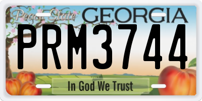 GA license plate PRM3744