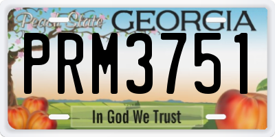 GA license plate PRM3751