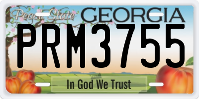 GA license plate PRM3755