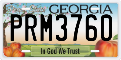 GA license plate PRM3760