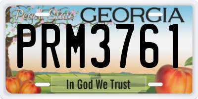 GA license plate PRM3761