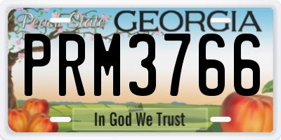 GA license plate PRM3766