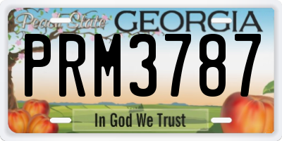 GA license plate PRM3787