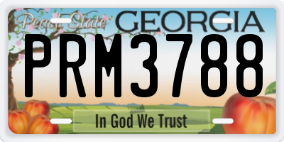 GA license plate PRM3788