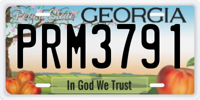 GA license plate PRM3791