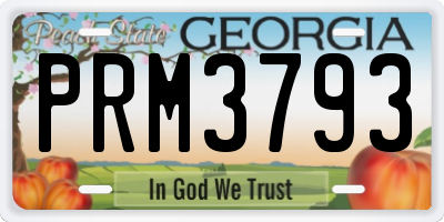 GA license plate PRM3793