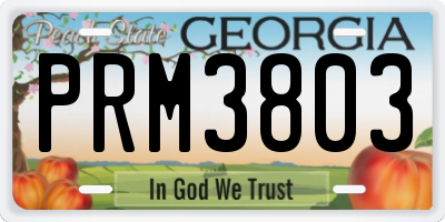 GA license plate PRM3803