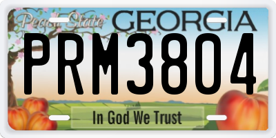 GA license plate PRM3804