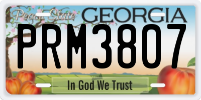 GA license plate PRM3807