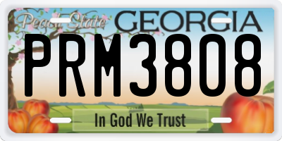 GA license plate PRM3808