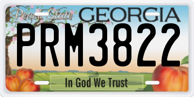 GA license plate PRM3822