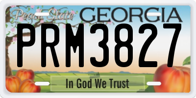 GA license plate PRM3827
