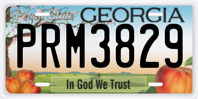 GA license plate PRM3829