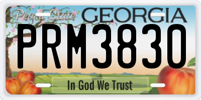 GA license plate PRM3830