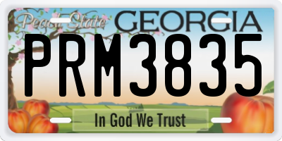 GA license plate PRM3835