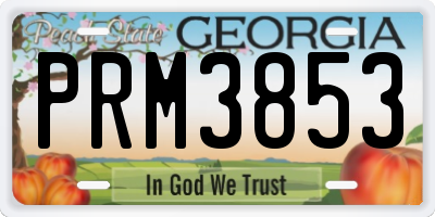 GA license plate PRM3853