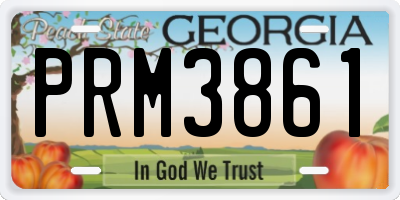 GA license plate PRM3861