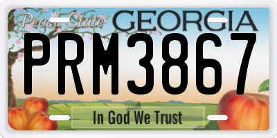 GA license plate PRM3867
