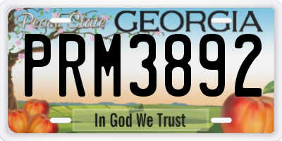 GA license plate PRM3892