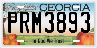 GA license plate PRM3893