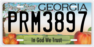 GA license plate PRM3897