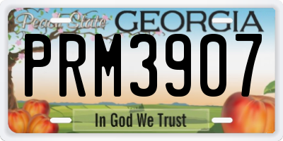 GA license plate PRM3907